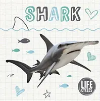 Životný cyklus žraloka - Life Cycle of a Shark