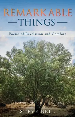 Pozoruhodné veci: Básne zjavenia a útechy - Remarkable Things: Poems of Revelation and Comfort