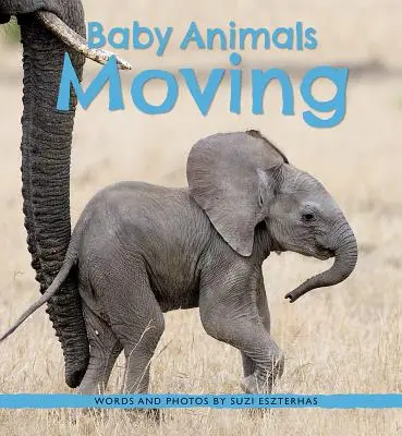 Mláďatá zvierat sa hýbu - Baby Animals Moving