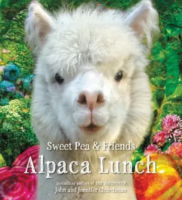 Obed pre alpaky - Alpaca Lunch
