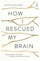 Ako som si zachránil mozog - pozoruhodné zotavenie psychológa po mŕtvici a úraze - How I Rescued My Brain - a psychologist's remarkable recovery from stroke and trauma