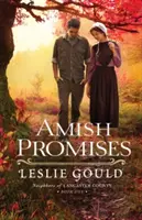 Amišské sľuby - Amish Promises