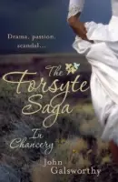 Sága rodu Forsytovcov 2: V kancelárii - Forsyte Saga 2: In Chancery