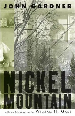 Niklová hora: Pastiersky román - Nickel Mountain: A Pastoral Novel