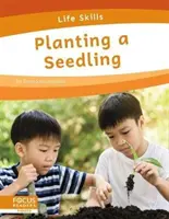 Sadenie sadeníc - Planting a Seedling