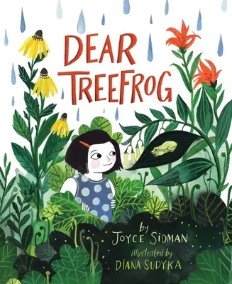 Drahá stromová žaba - Dear Treefrog