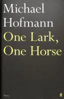 Jeden škovránok, jeden kôň - One Lark, One Horse