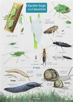 Záhradné chrobáky a šelmy - Garden Bugs and Beasties