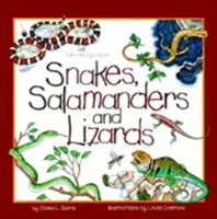 Hady, salamandry a jaštery - Snakes, Salamanders & Lizards