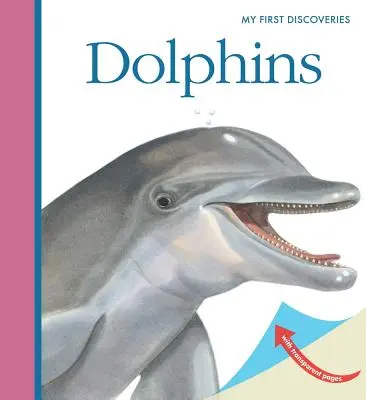 Delfíny - Dolphins