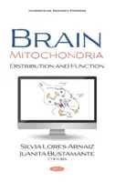 Mitochondrie mozgu - rozdelenie a funkcia - Brain Mitochondria - Distribution and Function