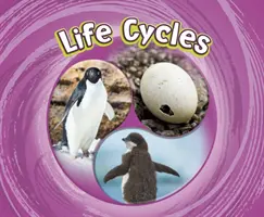 Životné cykly - Life Cycles