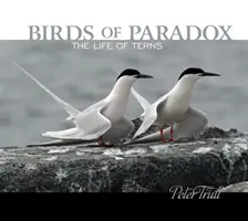 Vtáky paradoxov: Život rybárikov - Birds of Paradox: The Life of Terns