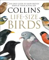 Collins Life-Size Birds - Jediný sprievodca, ktorý zobrazuje britské vtáky v ich skutočnej veľkosti - Collins Life-Size Birds - The Only Guide to Show British Birds at Their Actual Size
