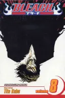 Bleach, zv. 8, 8 - Bleach, Vol. 8, 8