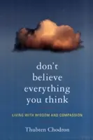 Neverte všetkému, čo si myslíte: Žiť s múdrosťou a súcitom - Don't Believe Everything You Think: Living with Wisdom and Compassion