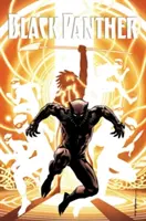 Čierny panter: Kniha 2: Národ pod našimi nohami - Black Panther: A Nation Under Our Feet, Book 2