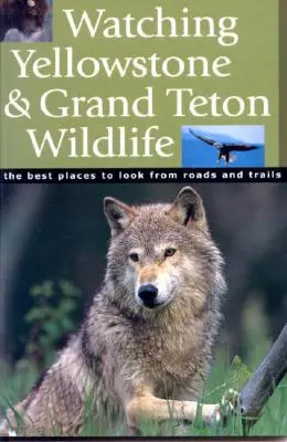 Pozorovanie divokej prírody Yellowstonu a Grand Tetonu - Watching Yellowstone & Grand Teton Wildlife