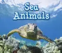 Morské živočíchy - Sea Animals