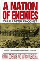 Národ nepriateľov: Čile za Pinochetovej vlády - A Nation of Enemies: Chile Under Pinochet