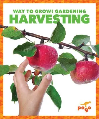 Zber úrody - Harvesting