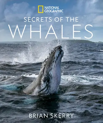 Tajomstvá veľrýb - Secrets of the Whales