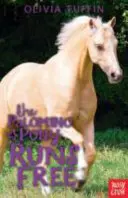 Poník Palomino beží na slobode - Palomino Pony Runs Free