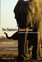 Sloní tajný zmysel: Skrytý život divokých stád v Afrike - The Elephant's Secret Sense: The Hidden Life of the Wild Herds of Africa