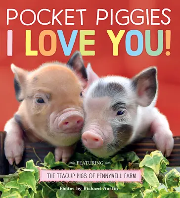Vreckové prasiatka: I Love You! - Pocket Piggies: I Love You!