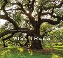 Múdre stromy - Wise Trees