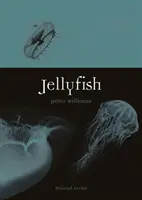 Medúzy - Jellyfish