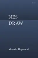 Neskresliť - Nes Draw