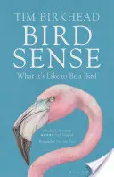 Vtáčí zmysel - Aké je to byť vtákom - Bird Sense - What It's Like to Be a Bird