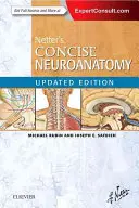 Netterova stručná neuroanatómia, aktualizované vydanie - Netter's Concise Neuroanatomy Updated Edition