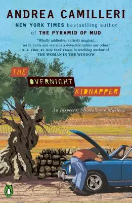 Únosca na jednu noc - The Overnight Kidnapper