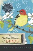 Liečivá múdrosť vtákov: Vtáky: každodenný sprievodca ich duchovným spevom a symbolikou - The Healing Wisdom of Birds: An Everyday Guide to Their Spiritual Songs & Symbolism
