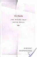 Harkis: Rana, ktorá sa nikdy nezahojí - The Harkis: The Wound That Never Heals