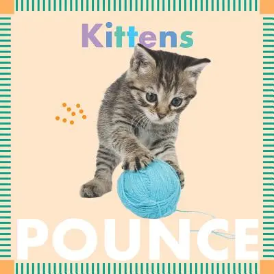 Mačiatka skáču - Kittens Pounce