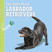 Rýchle fakty o labradoroch - Fast Facts About Labradors