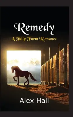 Náprava - Remedy