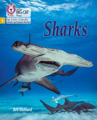 Žraloky - fáza 5 - Sharks - Phase 5