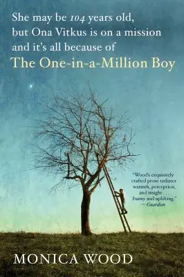 Chlapec jeden z milióna - The One-In-A-Million Boy