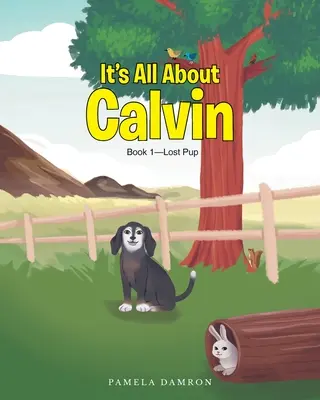 Všetko je to o Calvinovi: Kniha 1 - Stratené šteniatko - It's All About Calvin: Book 1-Lost Pup