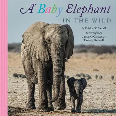 Mláďa slona vo voľnej prírode - A Baby Elephant in the Wild