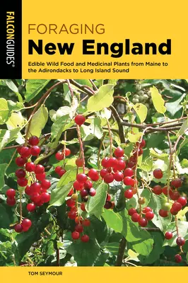 Foraging New England: Jedlé divoké potraviny a liečivé rastliny od Maine po Adirondacks a Long Island Sound - Foraging New England: Edible Wild Food and Medicinal Plants from Maine to the Adirondacks to Long Island Sound