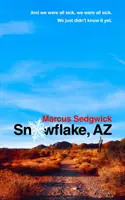 Snehová vločka, AZ - Snowflake, AZ