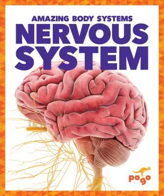 Nervový systém - Nervous System