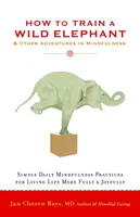 Ako vycvičiť divokého slona: A iné dobrodružstvá v oblasti všímavosti - How to Train a Wild Elephant: And Other Adventures in Mindfulness