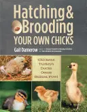 Liahnutie a odchov vlastných kurčiat: Sliepky, morky, kačice, husi, perličky - Hatching & Brooding Your Own Chicks: Chickens, Turkeys, Ducks, Geese, Guinea Fowl