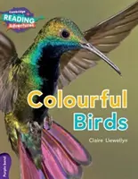 Farebné vtáky Fialové pásmo - Colourful Birds Purple Band